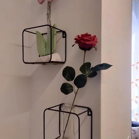 公寓 Casa Vacanze Buddy La Tua Base Per Visitare Il Mare Delle Cinque Terre 斯培西亚